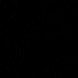 Meet your Posher, Montazia